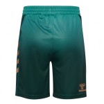 Pantaloncini Terzi Werder Bremen 2025/26 Donna Pantaloncini Terzi Werder Bremen 2025/26 Donna
