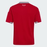 Maglia casa Coppa del Mondo 2026 Galles bambino Maglia casa Coppa del Mondo 2026 Galles bambino