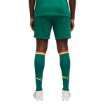 Pantaloncini Mondiali 2026 Trasferta Senegal Uomo