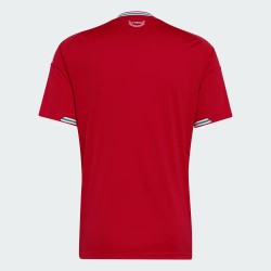 Maglia casa Coppa del Mondo 2026 Galles uomo Maglia casa Coppa del Mondo 2026 Galles uomo