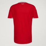 Maglia casa autentica Coppa del Mondo 2026 Galles uomo