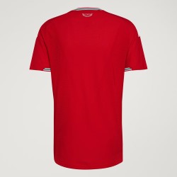 Maglia casa autentica Coppa del Mondo 2026 Galles uomo Maglia casa autentica Coppa del Mondo 2026 Galles uomo