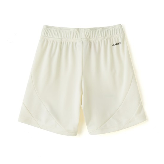 Pantaloncini Terza OL Bambino 2024/25 Pantaloncini Terza OL Bambino 2024/25