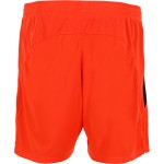 Pantaloncini Terza SC Paderborn 07 Uomo 2024/25 Pantaloncini Terza SC Paderborn 07 Uomo 2024/25