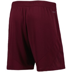 Pantaloncini Cambio Casa Aston Villa Uomo 2024/25 Pantaloncini Cambio Casa Aston Villa Uomo 2024/25