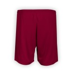 Uomo BSC Young Boys 2025/26 Terzi Pantaloncini Uomo BSC Young Boys 2025/26 Terzi Pantaloncini