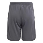 Pantaloncini Terza Juventus Bambino 2023/24 Pantaloncini Terza Juventus Bambino 2023/24