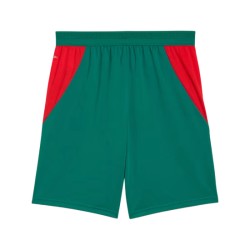 Pantaloncini Mondiali 2026 Trasferta Senegal Uomo