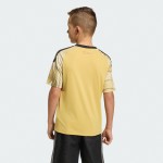 Bambino St. Louis City SC 2026 Maglia Trasferta Bambino St. Louis City SC 2026 Maglia Trasferta