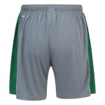 Pantaloncini Casalinghi Uomo Cardiff City 2024/25