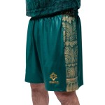 Uomo VIS Aurelia 2025/26 Pantaloncini Casa