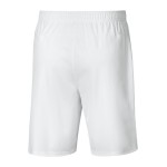 Pantaloncini Casa SpVgg Greuther Uomo 2024/25