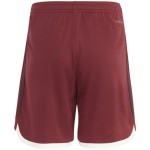 Pantaloncini Terza Maglia Bayern Monaco Uomo 2023/24 Pantaloncini Terza Maglia Bayern Monaco Uomo 2023/24