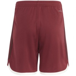 Pantaloncini Terza Maglia Bayern Monaco Uomo 2023/24