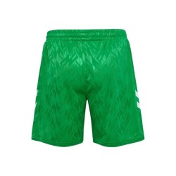 Pantaloncini Casalinghi Uomo Real Betis 2024/25 - Verdi