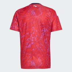 Maglia casa Coppa del Mondo 2026 Costa Rica uomo Maglia casa Coppa del Mondo 2026 Costa Rica uomo