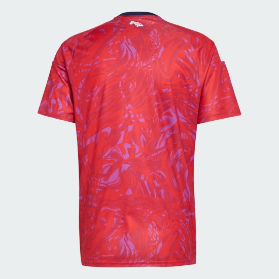 Maglia casa Coppa del Mondo 2026 Costa Rica donna
