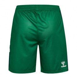 Pantaloncini Uomo Werder Brema 2025/26 Home - Verdi Pantaloncini Uomo Werder Brema 2025/26 Home - Verdi