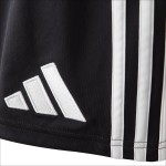 Pantaloncini Europei Terzi OL 2025/26 Uomo Pantaloncini Europei Terzi OL 2025/26 Uomo