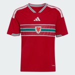 Maglia casa Coppa del Mondo 2026 Galles bambino Maglia casa Coppa del Mondo 2026 Galles bambino