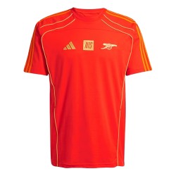 Uomo Arsenal x NTS 2025/26 Maglia Urban Purist - Arancione